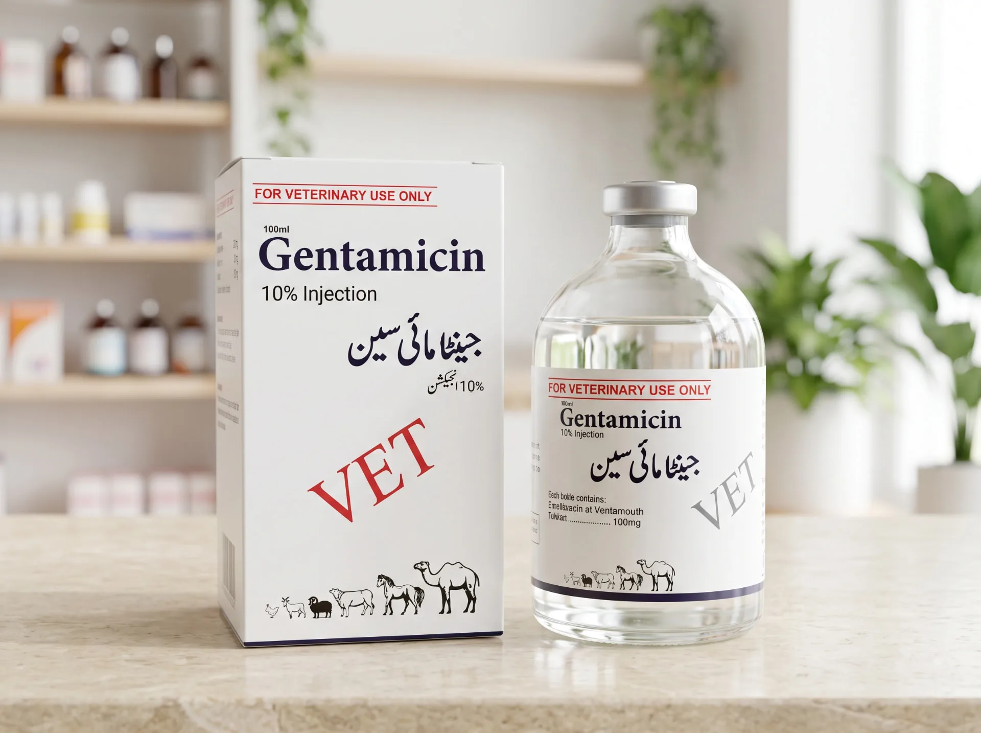 Gentamicin 10% Injection veterinary β Minaa Medicos